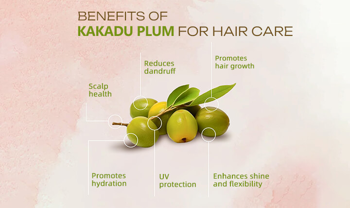 benefits of kakadu plum for hair care